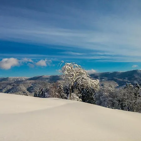 Holiswald Apartman Oppenau