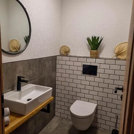 Holiswald Apartment Oppenau